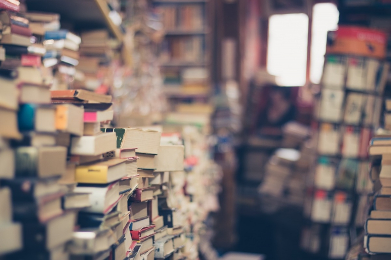 vitrine-REVEST LES ROCHES-min_books_stack_book_store_stack_of_books_2nd_hand_retro_hipster_shop-829090